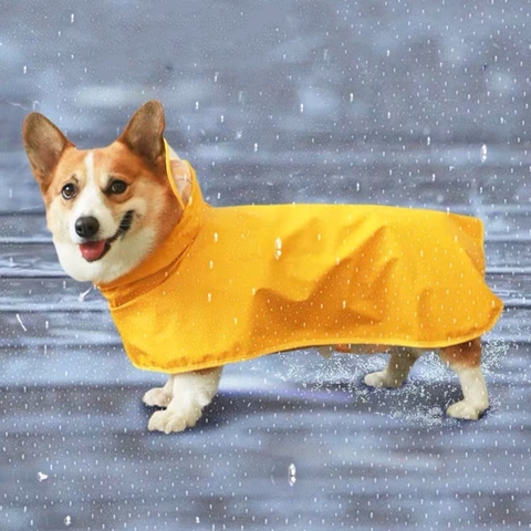 Chaqueta de lluvia impermeable para perro mascota, ropa para perros pequeños, medianos y grandes, Corgi, Husky, Schnauzer, Pug, CTC01 ► Foto 1/6