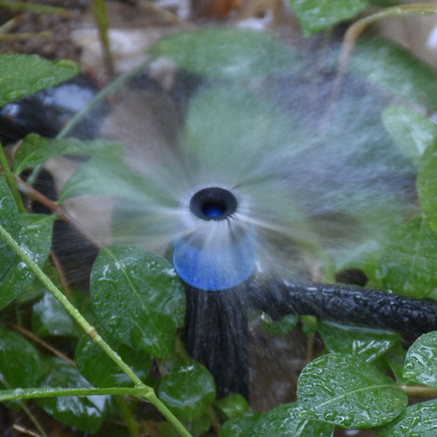 Boquilla de agua para goteo, rociadores de riego para jardín, 360 grados, sistema de riego de agua para jardín, 10 Uds. ► Foto 1/6