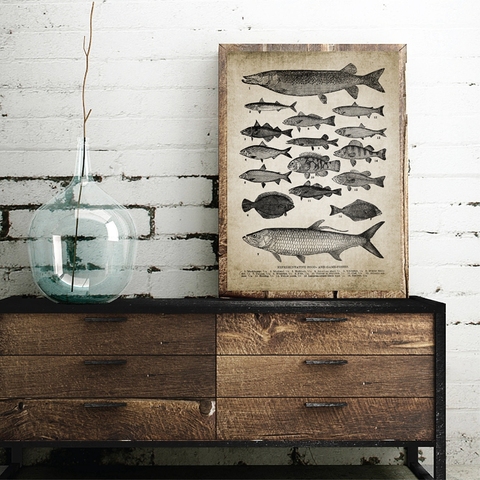 Vintage razas de peces con motivos de pescado pesca con caña ilustración de peces de agua dulce póster Retro arte de pared imagen pintura de lienzo de decoración ► Foto 1/6