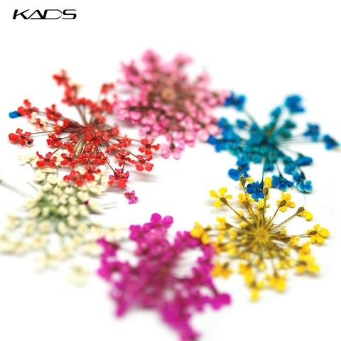 KADS 10 Uds Star Cluster flores secas decoraciones para uñas natural, Floral pegatinas con forma de hoja para herramientas de manicura de decoración de uñas accesorios para uñas ► Foto 1/6