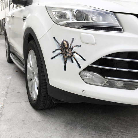 Bien 3D adhesivos de pared animales araña Gecko los escorpiones calcomanía de vinilo para pared pegatina para casa coches Auto de la motocicleta cubierta de arañazos Decoración ► Foto 1/6