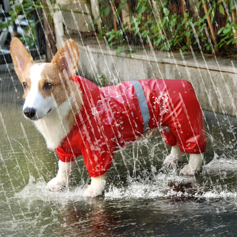 Impermeable para perros y mascotas, mono reflectante, abrigo de lluvia, protector solar, chaqueta de ropa para exteriores para perros, pequeños suministros para perros mascota ► Foto 1/6