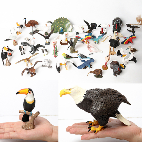 Figuras de acción de águila calva simuladas, búho, PELÍCANO, loro, Cisne, pájaros, modelo pintado a mano, colección de Juguetes Educativos de Ciencia para Niños ► Foto 1/6