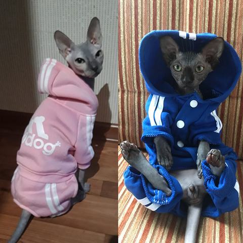 Lindo gato suéter con capucha de invierno cálido Ropa Para mascotas Para gatos esfinge Katten Ropa traje Ropa Para gatos Kedi Giyim mascotas productos ► Foto 1/6