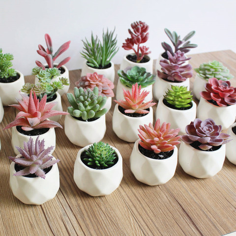 Bonsái Artificial suculento, adornos creativos para mesa de hogar, decoración Artificial de jardín, plantas con maceta ► Foto 1/5