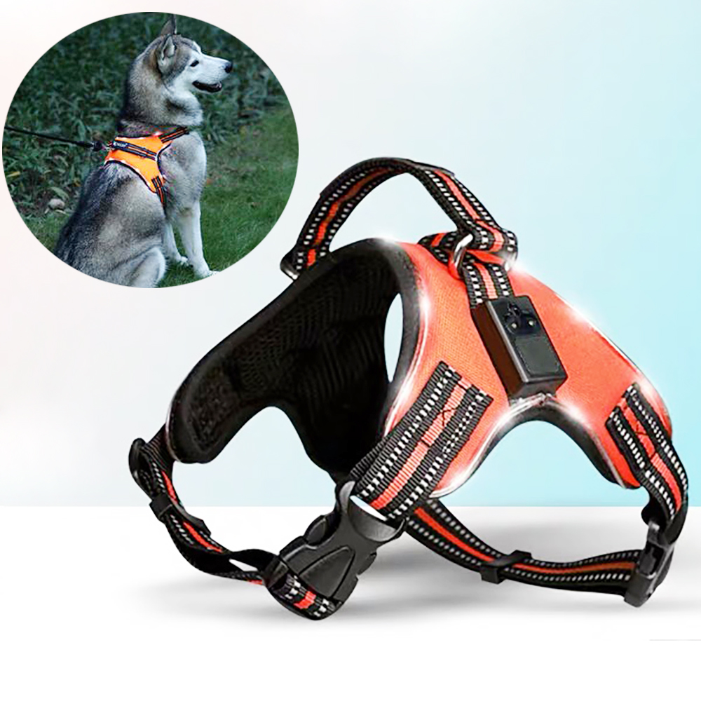 Arnés LED recargable para mascotas, correa de seguridad para perros, correa de nailon para luz intermitente Led, arnés para perro mascota, accesorios para perros ► Foto 1/6