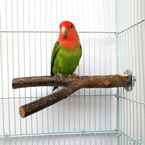 Soporte de madera cruda para jaula de hámster de pájaros, 1 Uds., 15cm ► Foto 1/6