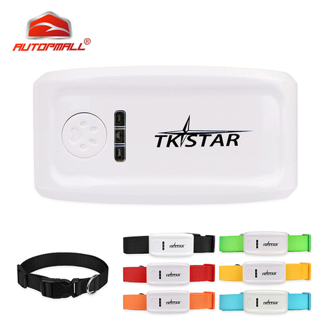 TKSTAR-rastreador GPS para mascotas TK909, localizador de animales en tiempo real, localizador de seguimiento de gatos, Geofence, resistente al agua, aplicación Web gratuita de por vida ► Foto 1/6