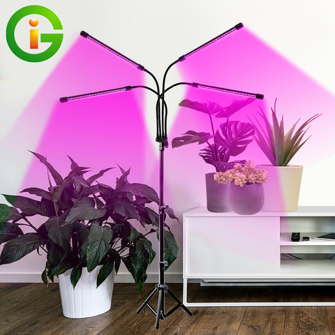 Luz LED de crecimiento para plantas de interior, lámpara de Fitolampy de espectro completo con temporizador, 18W, 27W, 36W, USB ► Foto 1/6