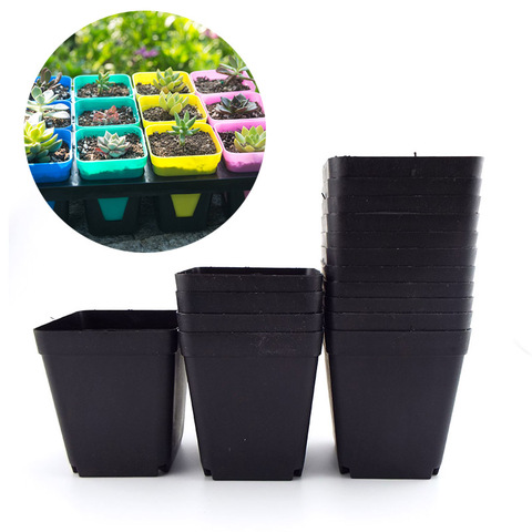 Mini macetas cuadradas de plástico de Color negro para jardín, maceta de vivero pequeña para plantas suculentas, vegetales, 20/50 Uds. ► Foto 1/6