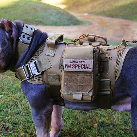 Chaleco táctico de nailon para perros, chaleco militar de caza y tiro para perros, chaleco Molle de entrenamiento Airsoft ► Foto 1/6