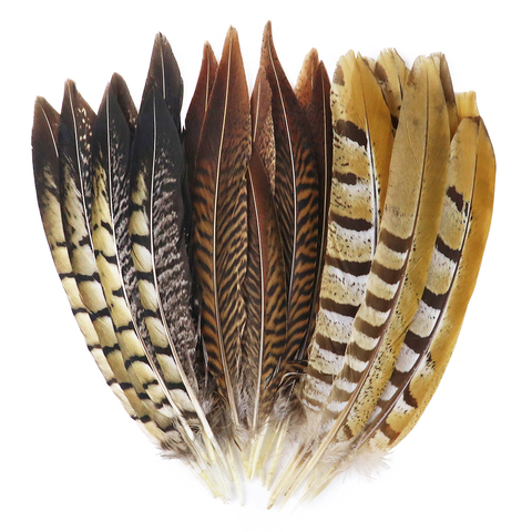 Plumas de faisán Natural para manualidades, decoración para el hogar, boda, plumas de cola de faisán de pollo, venta al por mayor, 10 Uds. ► Foto 1/6