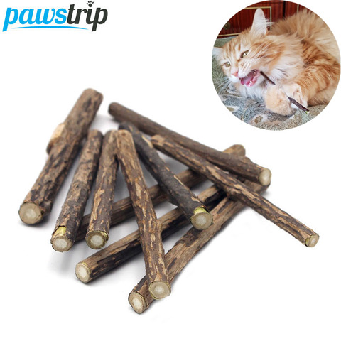 10/15/20 unids/lote Natural hechos a Gato palos de bocadillos de limpieza diente Catnip juguetes-Cat gato de Actinidia Silvervine mascota juguete para gatos ► Foto 1/6