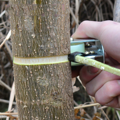 Cortador de corteza con ruedas y cinta de película elástica, tijeras para árbol frutal, anillo resistente al desgaste, herramienta de Peeling de corteza de jardín ► Foto 1/1