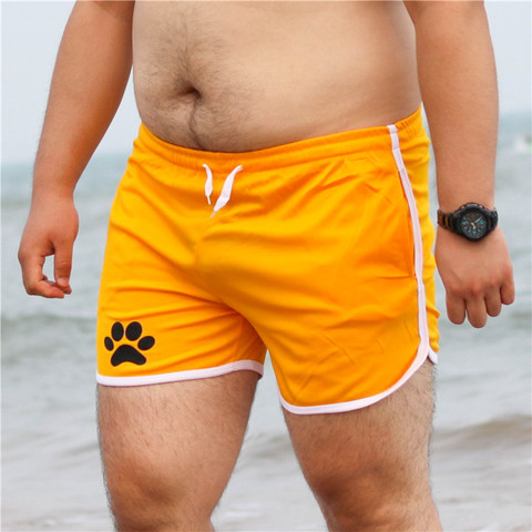 Pata de oso huella de garra de red y tablero pantalones cortos de malla de Fitness deporte pantalones cortos hombres culturismo rápido seca corta ropa deportiva, M, L, XL, XXL ► Foto 1/6