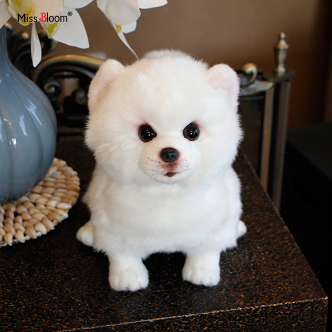 Pomeranian-perro de juguete de felpa, perro de imitación de Animal relleno, juguete Super realista para mascota Kawaii, regalos de cumpleaños para niños ► Foto 1/6