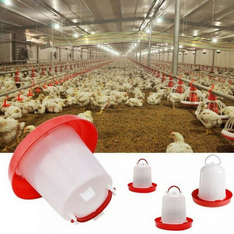 Bebedero de plástico robusto para pollos, codorniz, gallina, alimentador de alimentos, mango, bebedero para animales, suministros, animales de granja, 1,5/2,5/4L ► Foto 1/6