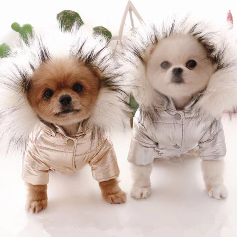 Chaqueta para perro impermeable, ropa cálida para perros, atuendo de invierno para mascotas, ropa de cachorro de gato, Yorkie, Chihuahua, Pomerania, Disfraces para perros ► Foto 1/6