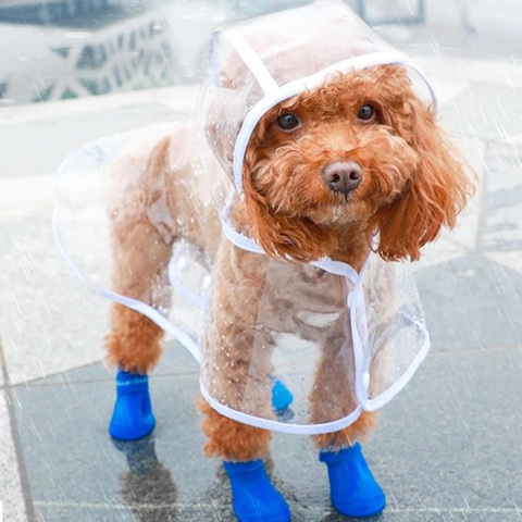 Chubasquero para perros pequeños, Poncho Impermeable para cachorros, gatos y perros, chubasquero, 5 colores ► Foto 1/6