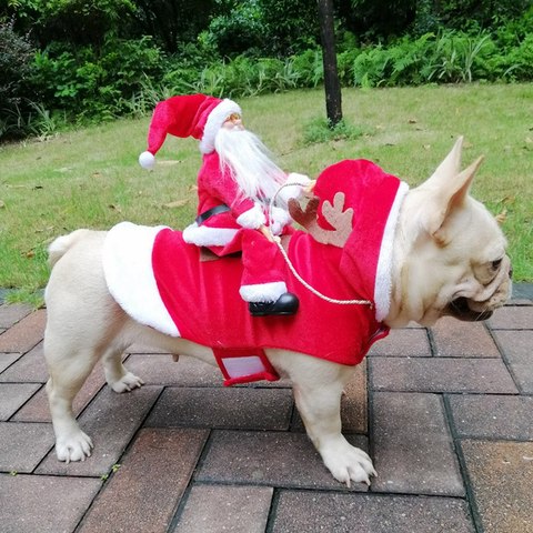 Divertido Jersey navideño para perro gato trajes traje de Santa Claus para perros, gatos, invierno cálido ropa para perro Chihuahua Pug ropa ► Foto 1/6