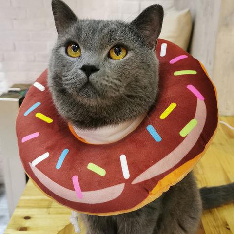 Collar de protección para mascotas y gatos, equipo de cabeza de recuperación médica antiarañazos para curar heridas ► Foto 1/6