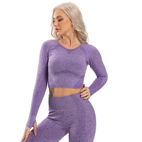 Top de Yoga sin costuras de manga larga para mujer, Tops cortos de Fitness, ropa deportiva activa, camiseta Sexy para gimnasio ► Foto 1/6