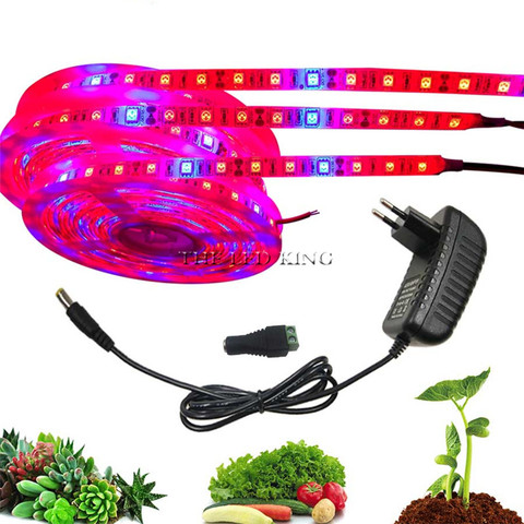 LED crece la luz de espectro completo 5M tira de luz LED 5050 LED flor planta Phyto crecimiento para cultivo de plantas hidropónicas de invernadero ► Foto 1/6