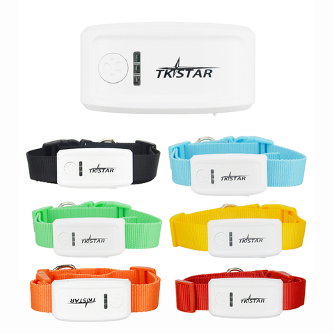 Rastreador tkstar Tracker TK909 Original para mascotas, gps, gsm, gprs, dispositivo de seguimiento GPS con collar para perros y gatos, aplicación web gratuita para 100% ► Foto 1/6