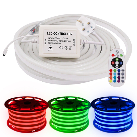 Tira de luz LED neón, 220V, 110V, Control remoto, RGB, blanco cálido, impermeable, cuerda flexible, 120LED, EE. UU., UE, Reino Unido, AU, conjunto de iluminación, decoración ► Foto 1/6