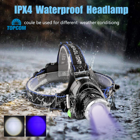 TOPCOM-linterna frontal LED potente, 4 modos, 5W, Zoom recargable por USB, 395nm, UV, blanco, para Detector de escorpiones de Camping ► Foto 1/6