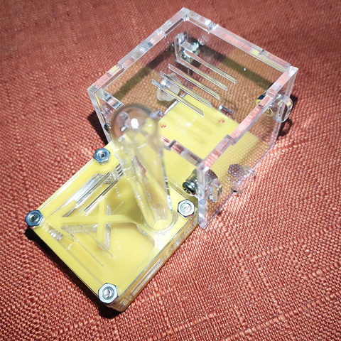 Mini nido de hormigas para Taller, granja acrílica, avión pequeño, accesorios, novedad ► Foto 1/6