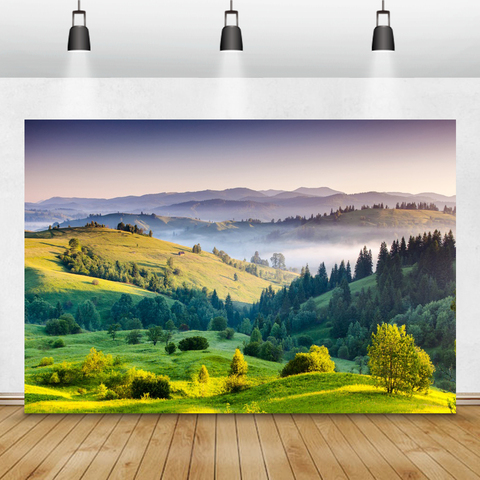 Laeacco FONDO DE PAISAJE DE NATURALEZA cielo nublado montañas verde bosque árboles niños retrato fotografía fondos Estudio de casa ► Foto 1/6