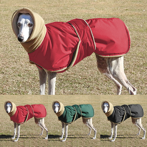 Ropa cálida para perro, chaqueta impermeable gruesa para invierno, abrigo de perro rojo y negro con orificio de correa para perros medianos y grandes, galgo ► Foto 1/6