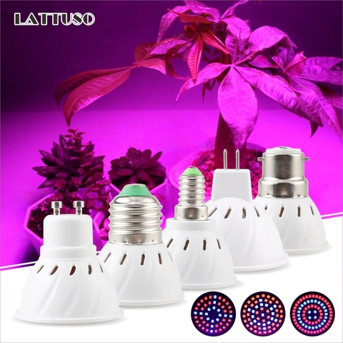 Luz LED de cultivo E14 E27 MR16 GU10 B22, bombilla Led de espectro completo, lámpara de planta, luz roja azul UV IR para tienda de cultivo, iluminación de cultivo de invernadero ► Foto 1/6