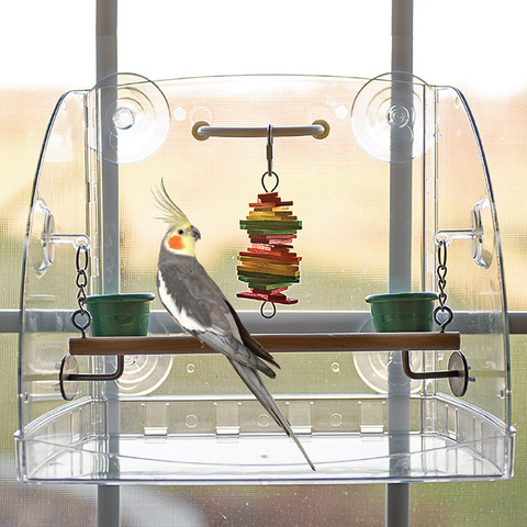 Juguete loro caitec pájaro ventana centro de juegos diseño abierto resistente durable bite resistente adecuado para pequeñas Aves loros ► Foto 1/6