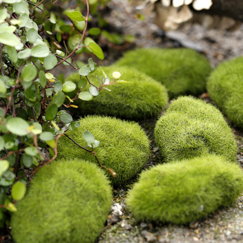 Piedras artificiales de musgo para decoración del hogar, miniaturas de jardín terrario para bonsái, suculentas, 1 unidad ► Foto 1/3