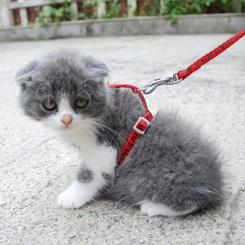 2 unids/lote gato arnés correa de arnés ajustable Collar gatito cachorro mascota pequeña al aire libre a rayas ► Foto 1/6
