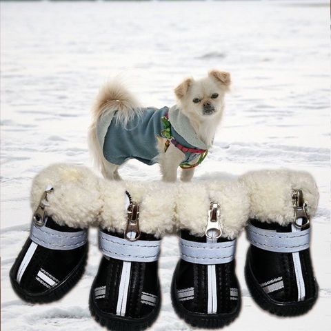 Zapatos para perros pequeños, botas cálidas de nieve, de cuero, impermeables, de algodón, antideslizantes, resistentes al desgaste, para ChiHuaHua y cachorros ► Foto 1/6