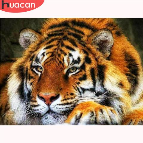 HUACAN-pintura de diamante con tigre, Animal, taladro redondo cuadrado completo, Kits artesanales para decoración del hogar, Perla de bordado cuadro de mosaico de diamantes de imitación ► Foto 1/6