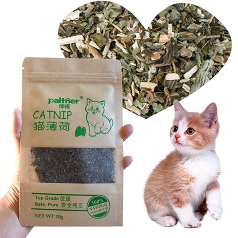 Hierba de ganado Natural de primera calidad, 100% orgánico de hierba gatera, 10g de sabor mentolado, Limpieza de dientes, juguetes para el cuidado de gatos, productos para mascotas, 1 unidad ► Foto 1/6