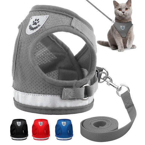 Arnés ajustable para collar de perro y gato, Collar de correa de plomo para caminar para perros, arnés de malla para perros pequeños, medianos, gatos y mascotas ► Foto 1/6