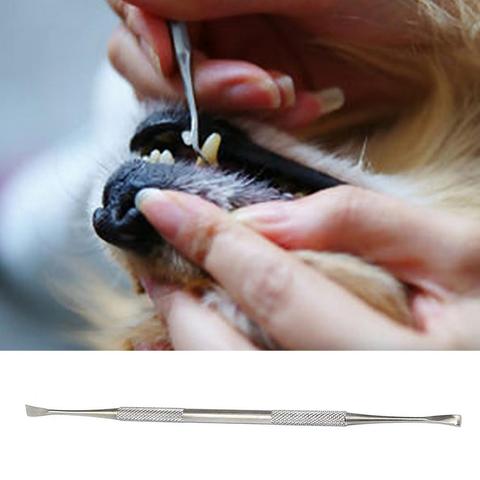 Eliminador de piedra de sarro de doble cabeza de acero inoxidable para mascotas, raspador para perro, gato, diente Dental, higiene bucal, herramienta de limpieza para el cuidado de la salud ► Foto 1/6