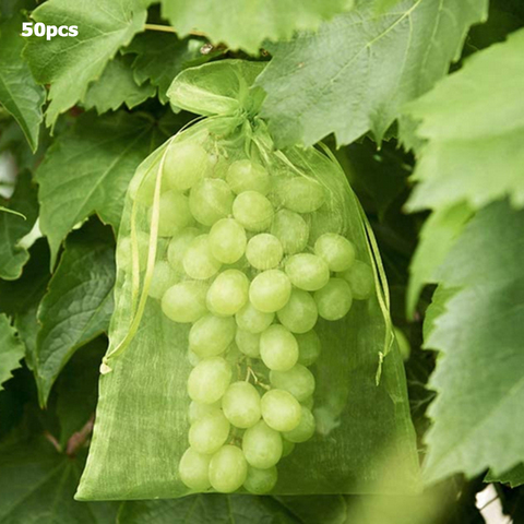 Bolsa de crecimiento de fruta y verdura para jardín, protección para plantas, Red con cordón antiaves, bolsa de malla para maquillaje de caramelo, Control de plagas, 50 Uds. ► Foto 1/6