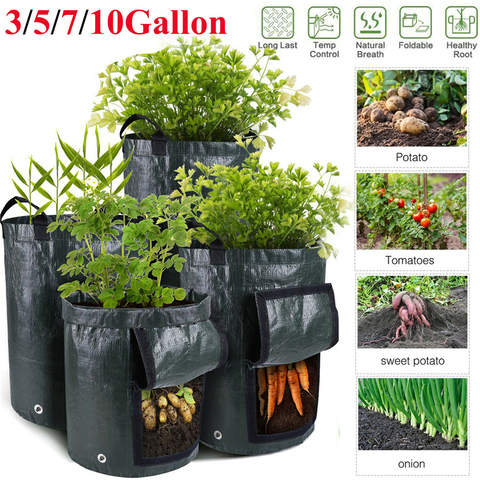 Bolsa contenedor para cultivo de patatas, macetero para verduras, Patio, tomate, jardinería, maceta gruesa, herramientas duraderas para jardín ► Foto 1/6