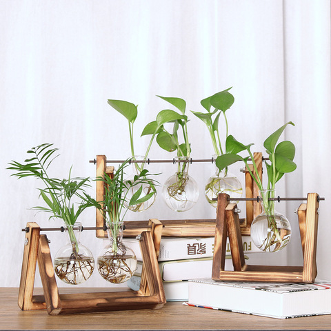 Terrario creativo de plantas hidropónicas, florero transparente con marco de madera, decoración de vidrio, planta de mesa, bonsái, decoración de flores ► Foto 1/6