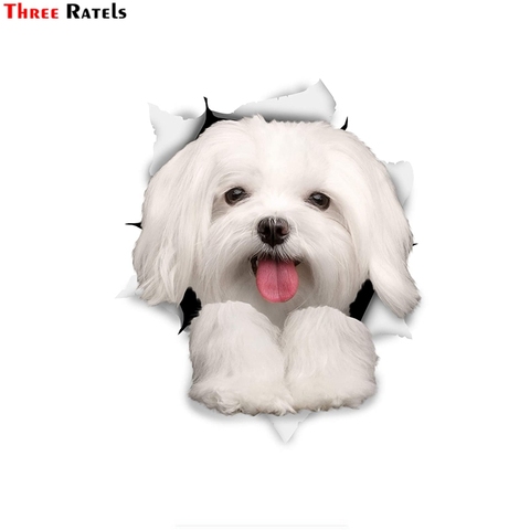 Three Ratels 1057 3D perro pegatinas lindo maltés pegatinas niños pegatinas de pared de niño ► Foto 1/4