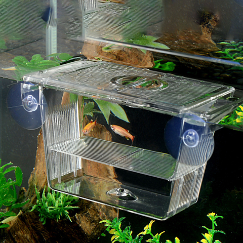 Caja de aislamiento para cría de peces, Incubadora de Acuario, caja de desove multifuncional, sala de incubación para acuario, accesorios, 1 Uds. ► Foto 1/6