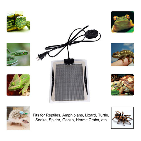 Almohadilla de calor para reptiles, calentador de temperatura ajustable debajo del tanque para tortugas, serpiente, lagarto, Rana, Araña, caja de plantas de 110v/15w ► Foto 1/6