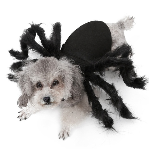 Disfraz de araña negra de imitación para Halloween, disfraz de cachorro de araña para perros, gatos, fiesta, disfraz divertido ► Foto 1/6