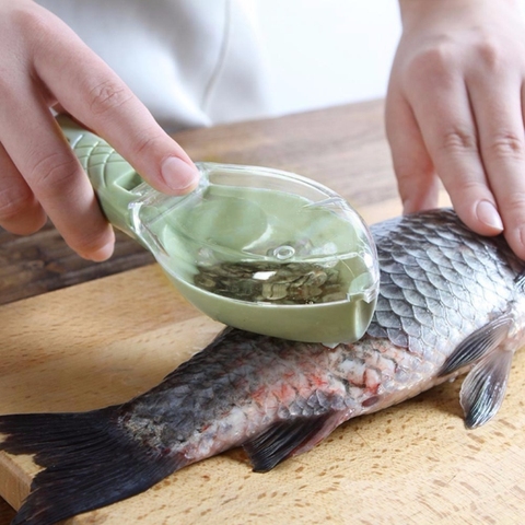 Raspador para limpieza de pescado, raspador para limpieza de pescado, limpiador de cuchillos, cuchillo de pescado, pinzas de hueso, accesorios de cocina ► Foto 1/6